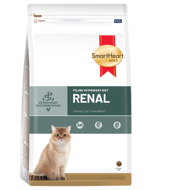 스마트하트골드 고양이 나인케어 처방식사료, 신장, 1.5kg, 1개