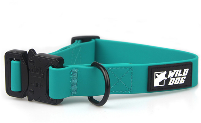 와일드독 강아지 워터프루프 메탈 칼라 목줄, 블루그린, 1개