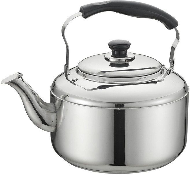 퀸센스 인덕션 휘슬주전자, 10L, 혼합색상, 1개