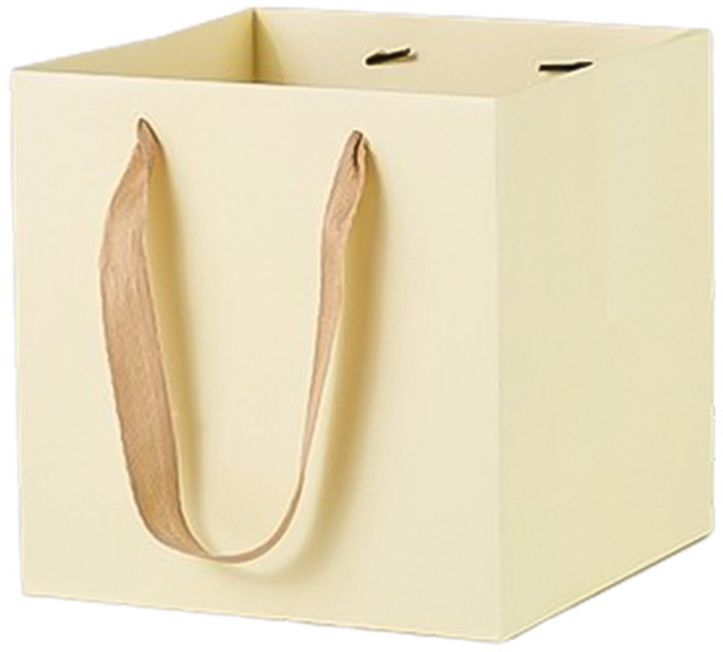 마켓감성 컬러 와이드 정사각 쇼핑백 대, 베이지, 4개