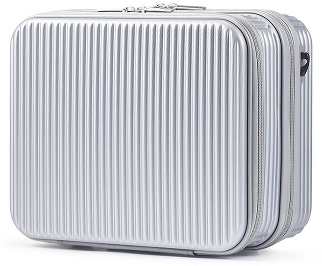 스위스밀리터리 코스모 미니 레디백 14인치