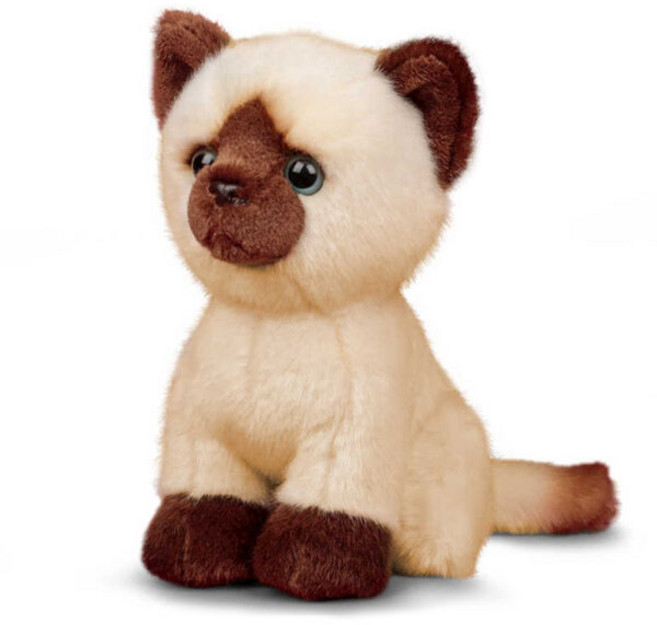 애너미고스 영국에서 온 동물친구 인형, 19cm, 아기샴고양이, 1개