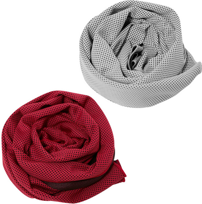 벅703 아이스 쿨 스포츠 타올 2p 세트, 그레이, 레드, 1세트