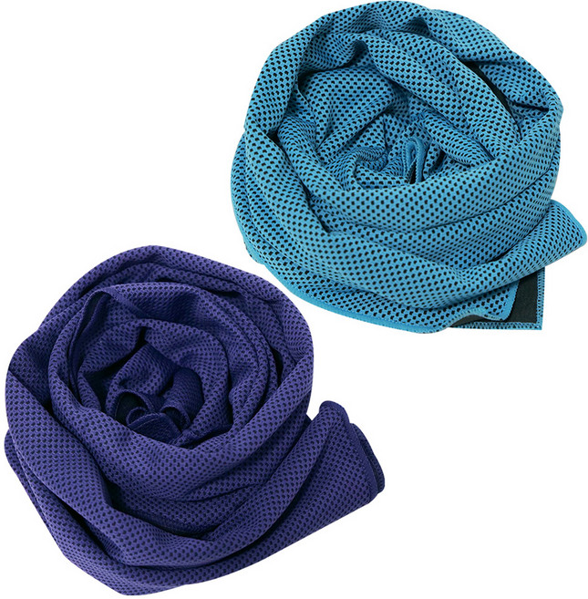 벅703 아이스 쿨 스포츠 타올 2p 세트, 스카이, 퍼플, 1세트