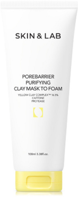 스킨앤랩 포어베리어 퓨리파잉 클레이 마스크 투 폼, 1개, 100ml