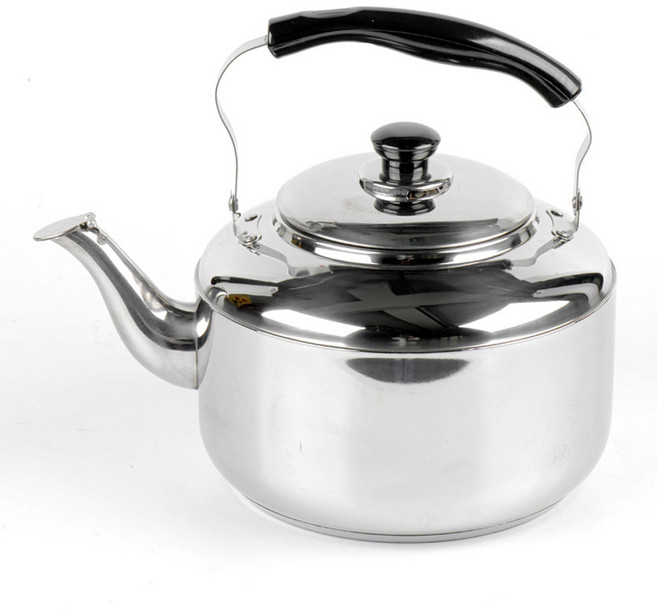 퀸센스 루미스 휘슬 인덕션 주전자 IH, 7L, 혼합색상, 1개