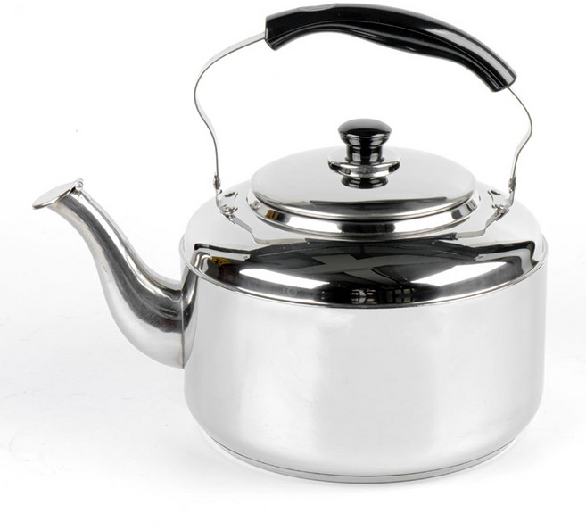 퀸센스 루미스 하모니 인덕션 주전자, 10L, 혼합색상, 1개