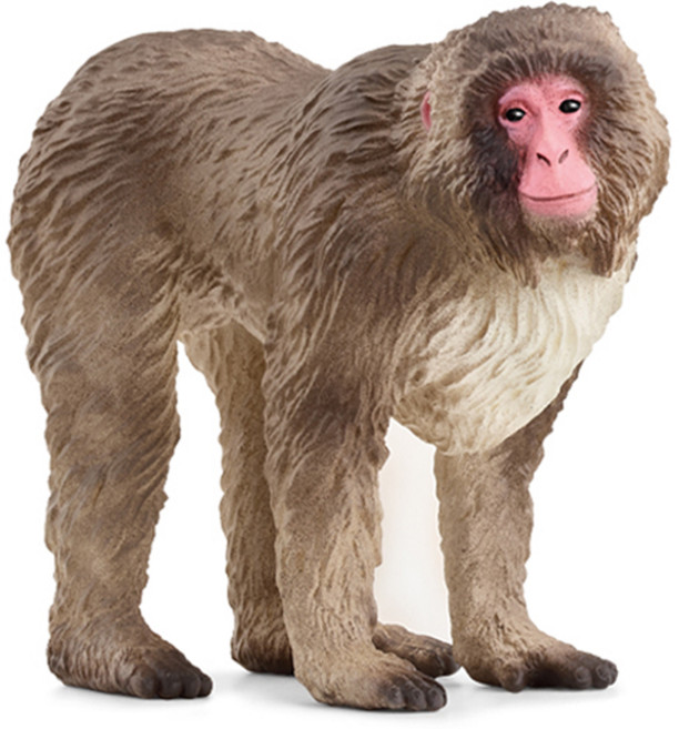 슐라이히 원숭이 피규어 SL14871, 1개