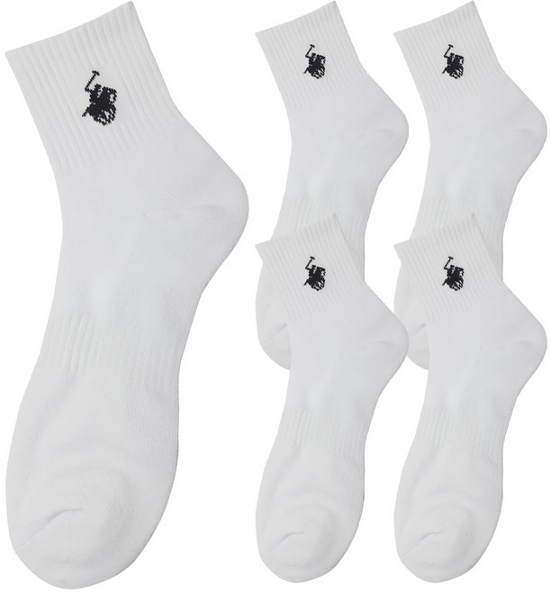 BEVERLY HILLS POLO CLUB 比佛利保羅 男士大尺碼馬球標誌雙層底毛圈長襪 5雙