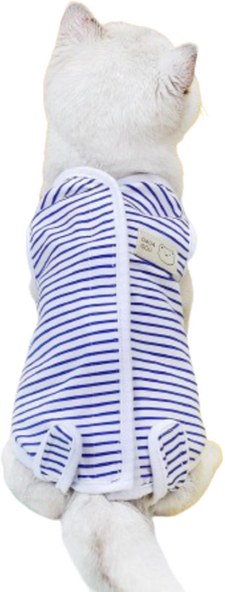 쿠펫츠 반려동물 중성화 수술 환복, 블루, 1개