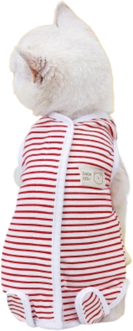 쿠펫츠 반려동물 중성화 수술 환복, 레드, 1개