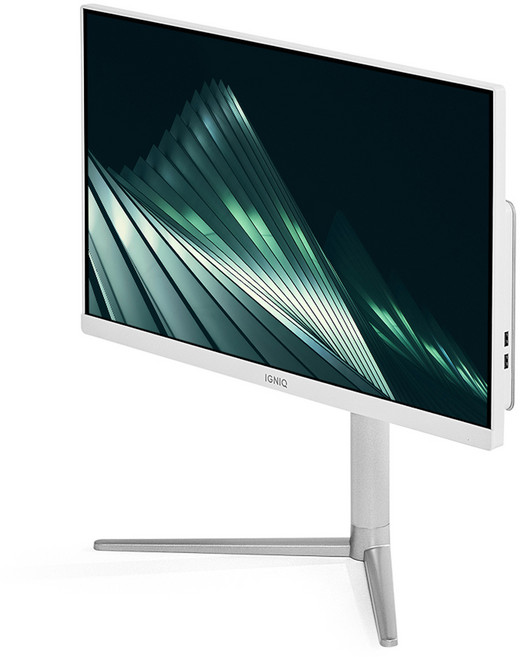 이그닉 2024 비와이 24 셀러론 인텔 12세대, 화이트, 4GB, 128GB, WIN11 Pro, IG-BYA23805