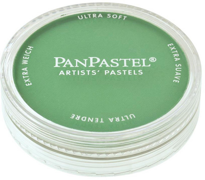 팬파스텔 신한화구 파스텔 PERMANENT GREEN 640.5 9ml, 1색, 1개