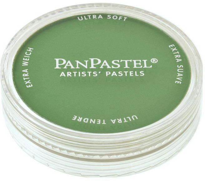 팬파스텔 신한화구 파스텔 CHROMIUM Oxide GREEN 660.5 9ml, 1색, 1개