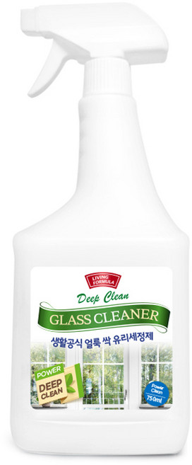 생활공식 얼룩 싹 유리세정제, 750ml, 1개