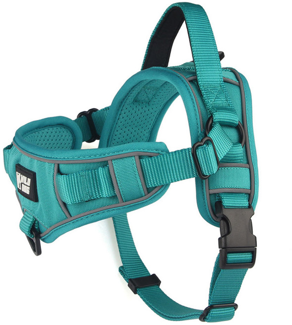 와일드독 강아지 이지 하네스, 블루그린, 1개