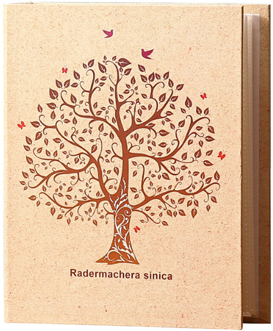 알로데 타임러스 보관 삽입형 사진 앨범 29.5 x 21 cm, 02 행운의나무, 50매