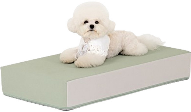 퍼핑 논슬립 펫스텝 1단, 세이지, 1개