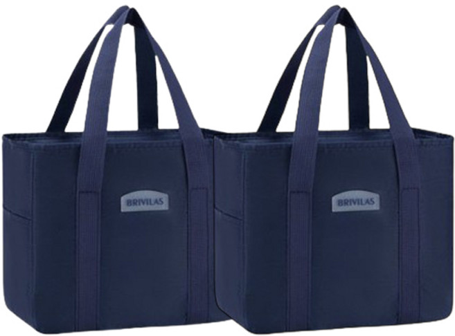 브리빌라스 마켓피오 베스트 아이스 보냉백 2p, 4, 2개