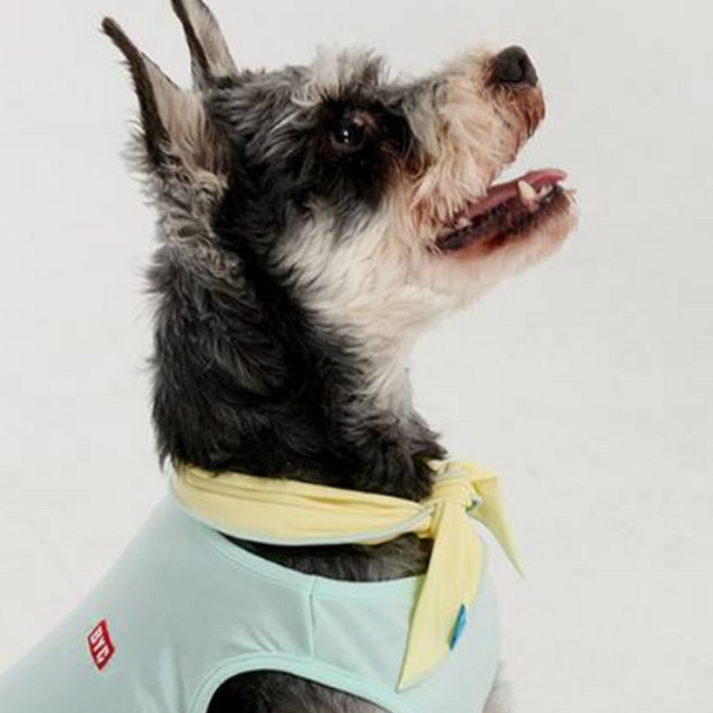 BYC 반려동물 보디드라이 쿨스카프 ODB0004, LM(레몬)/S, 1개