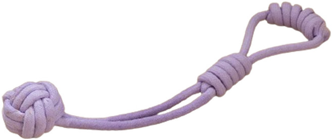 펫톤 강아지 꽈배기 원핸드 터그토이, 1개