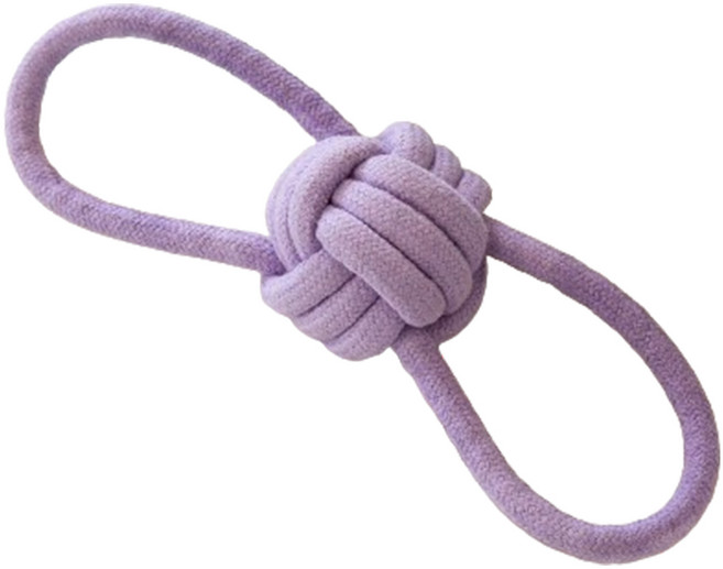 펫톤 터그토이 강아지 장난감, 퍼플, 1개