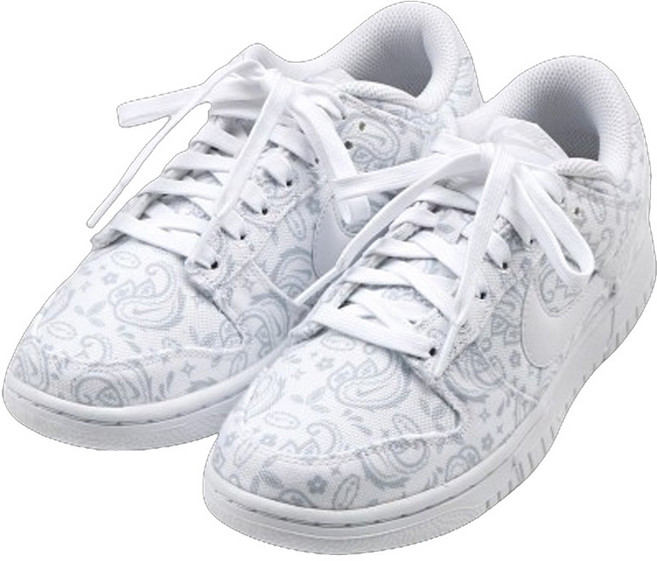 NIKE 耐吉 女款 DUNK LOW PAISLEY 運動鞋
