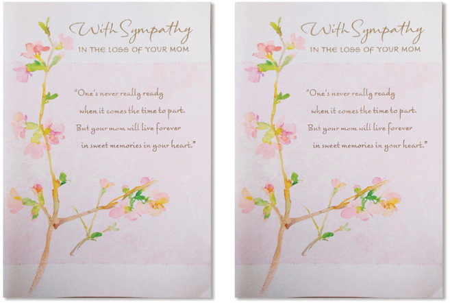 홀마크 위로 격려 안부카드, S2061, 2개