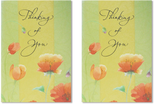 홀마크 위로 격려 안부카드, C6818, 2개