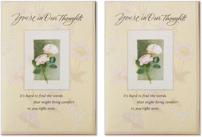 홀마크 위로 격려 안부카드, S5693, 2개