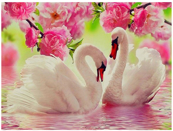 알로데 백조 부부 보석십자수 라운드큐빅 DIY 키트 30 x 40 cm, 09 플라워, 1세트