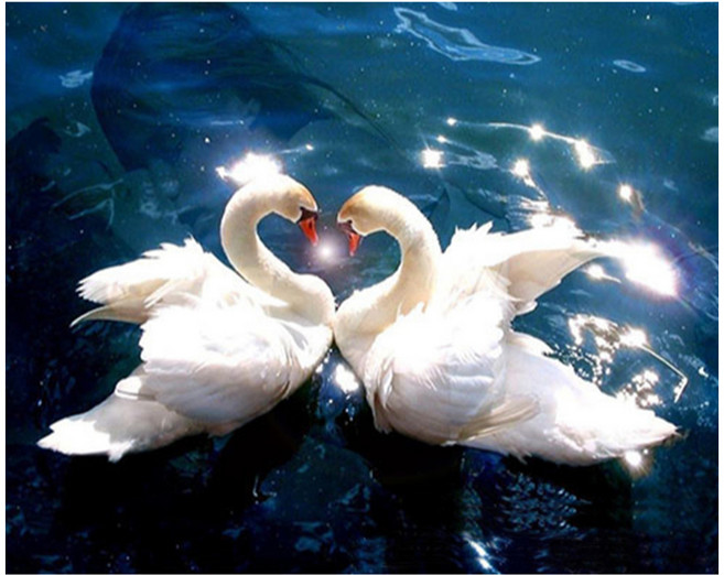 알로데 백조 커플 부부 보석십자수 30 x 40 cm DIY 세트 스퀘어큐빅, 07 눈부신투샷, 1세트