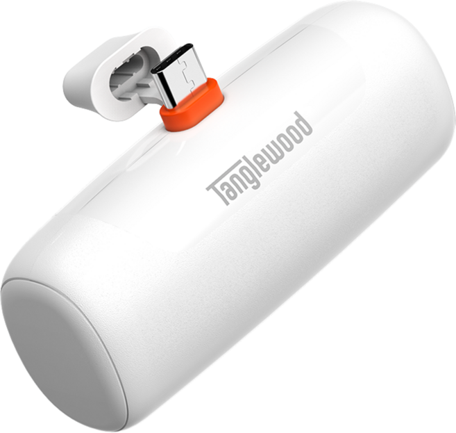 탱글우드 PD 20W 고속충전 미니 일체 도킹형 보조배터리 5000mAh C타입, TW-PB02-CD, 화이트