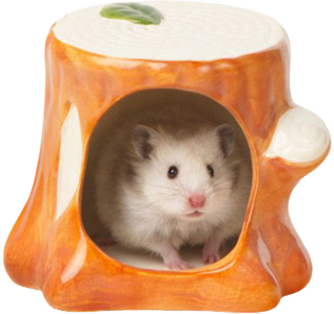 랜보어 햄스터 그루터기 세라믹 은신처 대, 우드, 1개