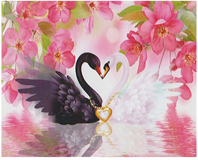 알로데 백조 커플 부부 DIY 스퀘어 보석십자수 세트 40 x 50 cm, 11 블랙앤화이트, 1세트