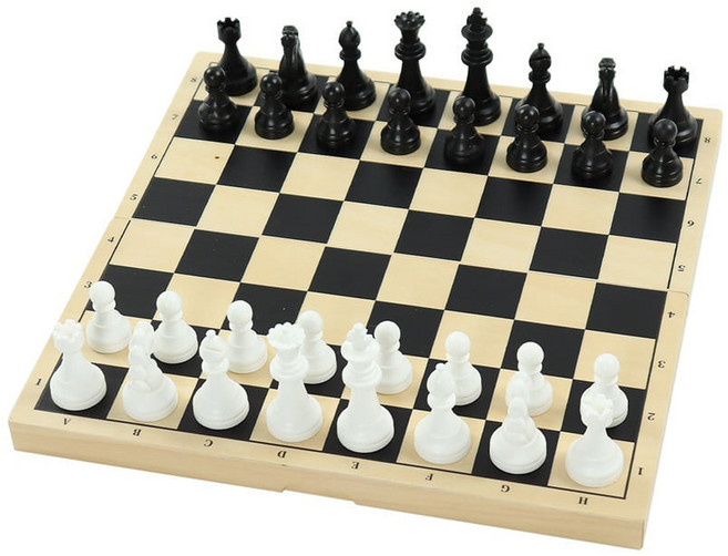 토도리브로 다함께 체스 놀이, 혼합색상, 1세트