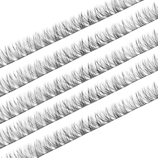 라몽 데일리 포인트 아이래쉬 5줄 12mm, 004, 1개