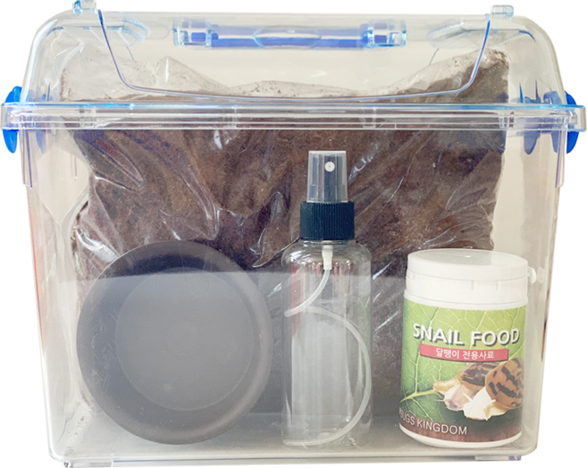 벅스프린스 달팽이키우기 세트 대형, 클린, 1세트
