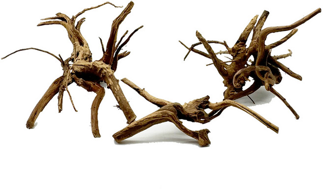 샘아쿠아 리프레쉬 가지 유목, 3개