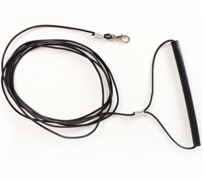 앵무새 신축성 리드줄, 검정, 1개
