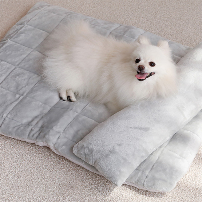 아망떼 반려동물 보들보들 플란넬 쿠션 + 베개 세트, 그레이, 1세트