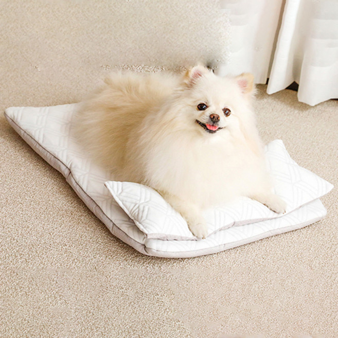 아망떼 강아지 프로즌 듀라론 냉감 쿠션 + 베개 세트, 화이트, 1세트