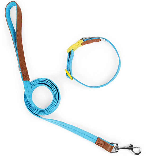 파스텔펫 반려동물 포인트 레더 목줄리드줄, 블루, 1개