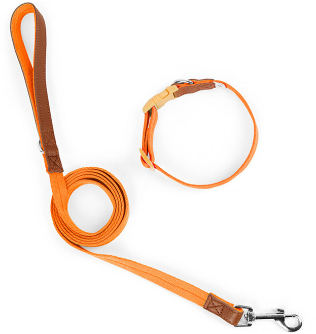 파스텔펫 반려동물 포인트 레더 목줄리드줄, 오렌지, 1개