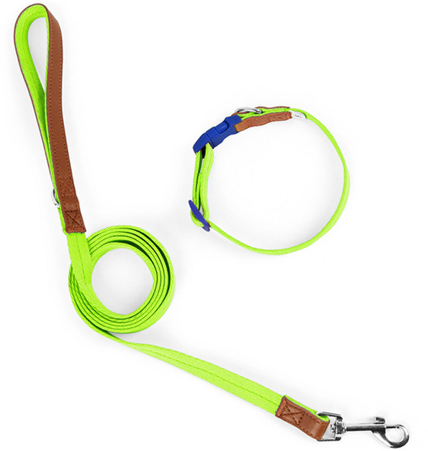 파스텔펫 반려동물 포인트 레더 목줄리드줄, 그린, 1개