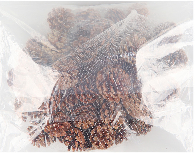 유니아트 천연솔방울 소 450g, 1개