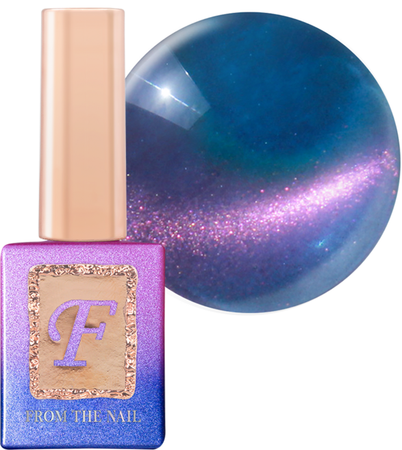 프롬더네일 MAGNET 젤네일, FG198, 10g, 1개