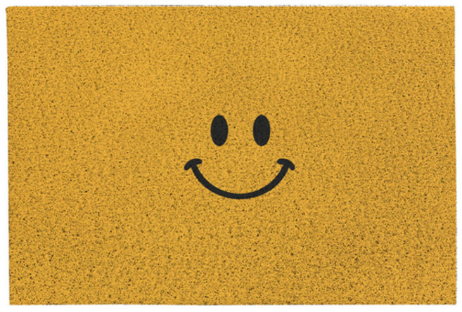 더자카 웰컴 PVC 미끄럼 방지 코일 매트, E타입, 1개