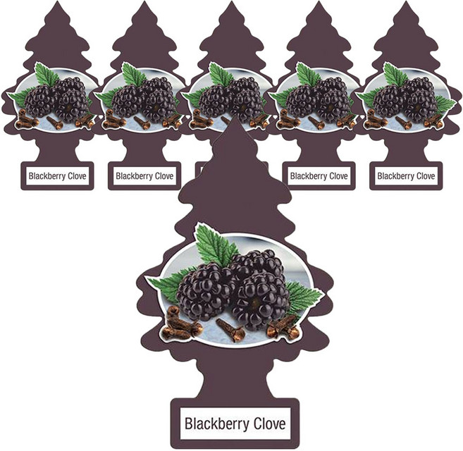 리틀트리 종이 방향제, 블랙베리 클로브, 6개