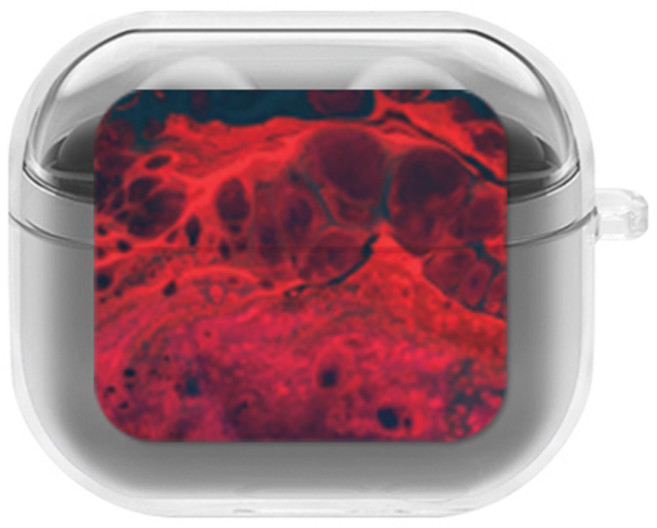 에잇클로드 센치무드 갤럭시 버즈3 / 버즈3프로 공용 일체형 클리어 하드 케이스, 레드오션, 1개